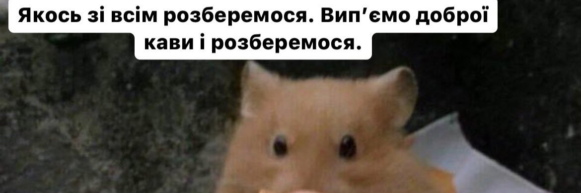 🍀 banner