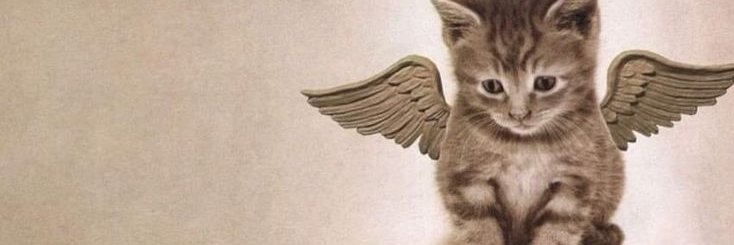 Mary0h1's profile banner image