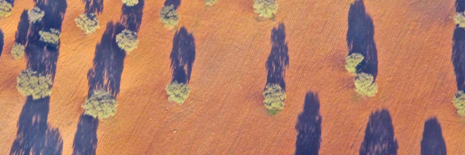 SMART PLANTS PLANET banner