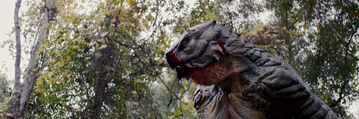 SandyCmonster's profile banner image