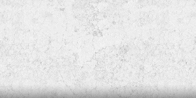 Vince McMahon's banner
