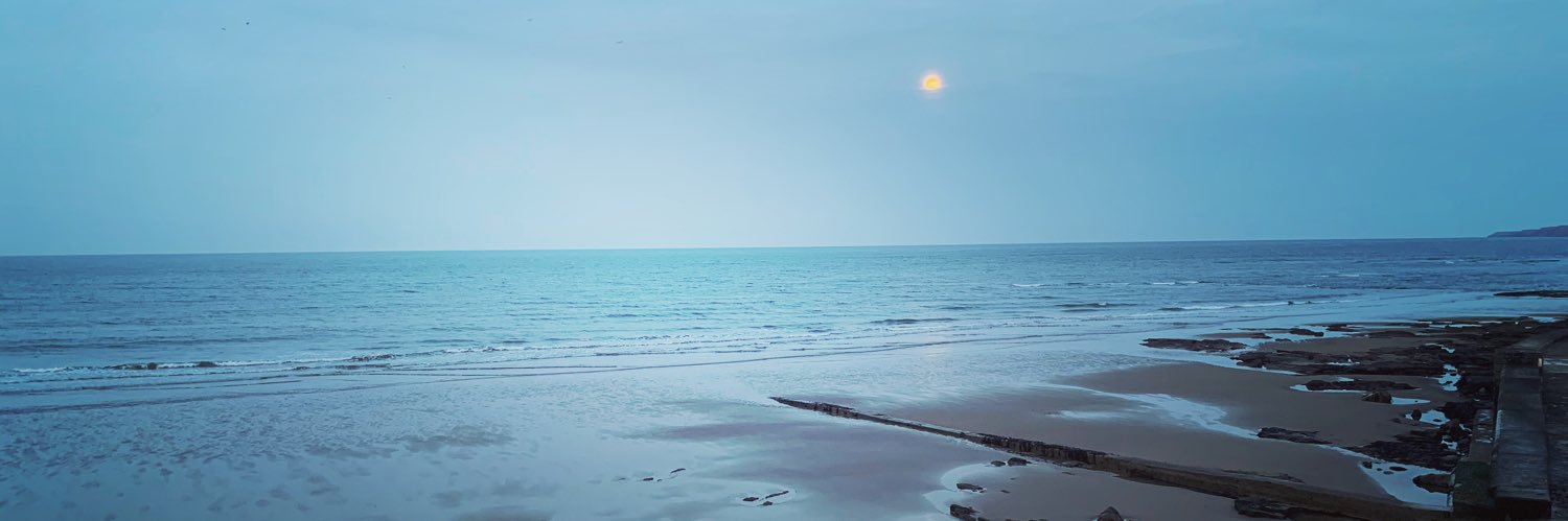 ScarboroughCollege DT banner