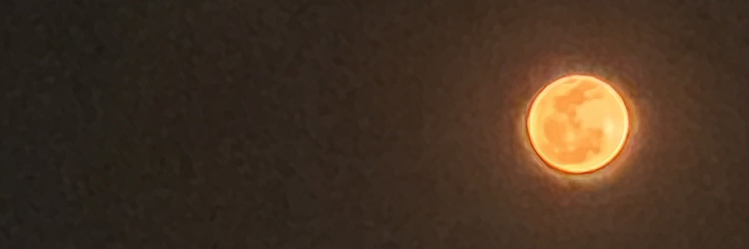 GUSN11's profile banner image