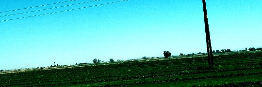 RAD LUZA (WFM) banner