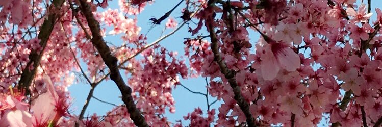 ctcui203's profile banner image