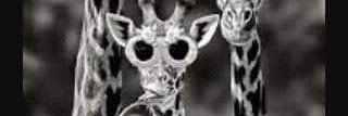 cdunk93's profile banner image
