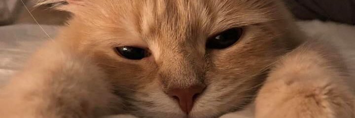 frong0300's profile banner image
