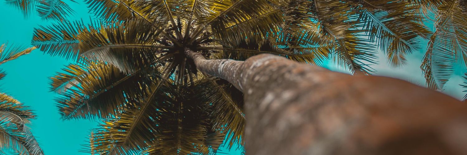 vchmolina's profile banner image
