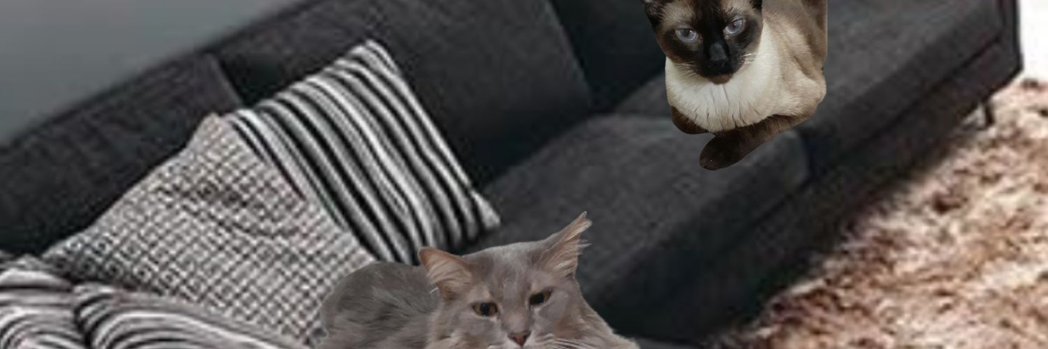 Pao310312's profile banner image