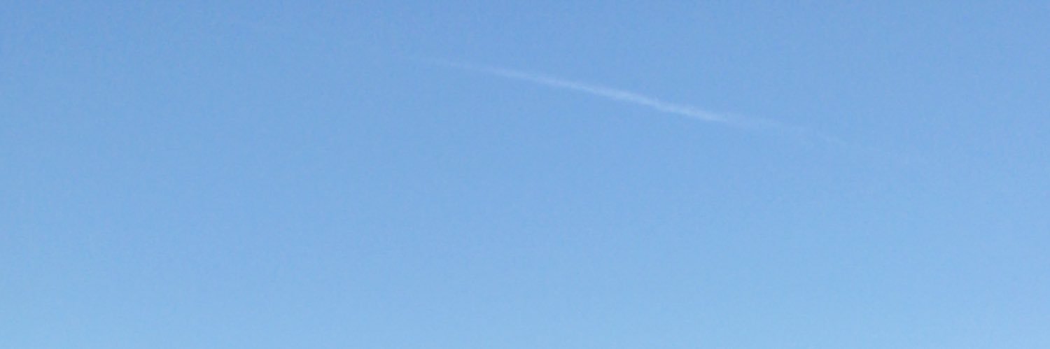 Shaun Thompson banner