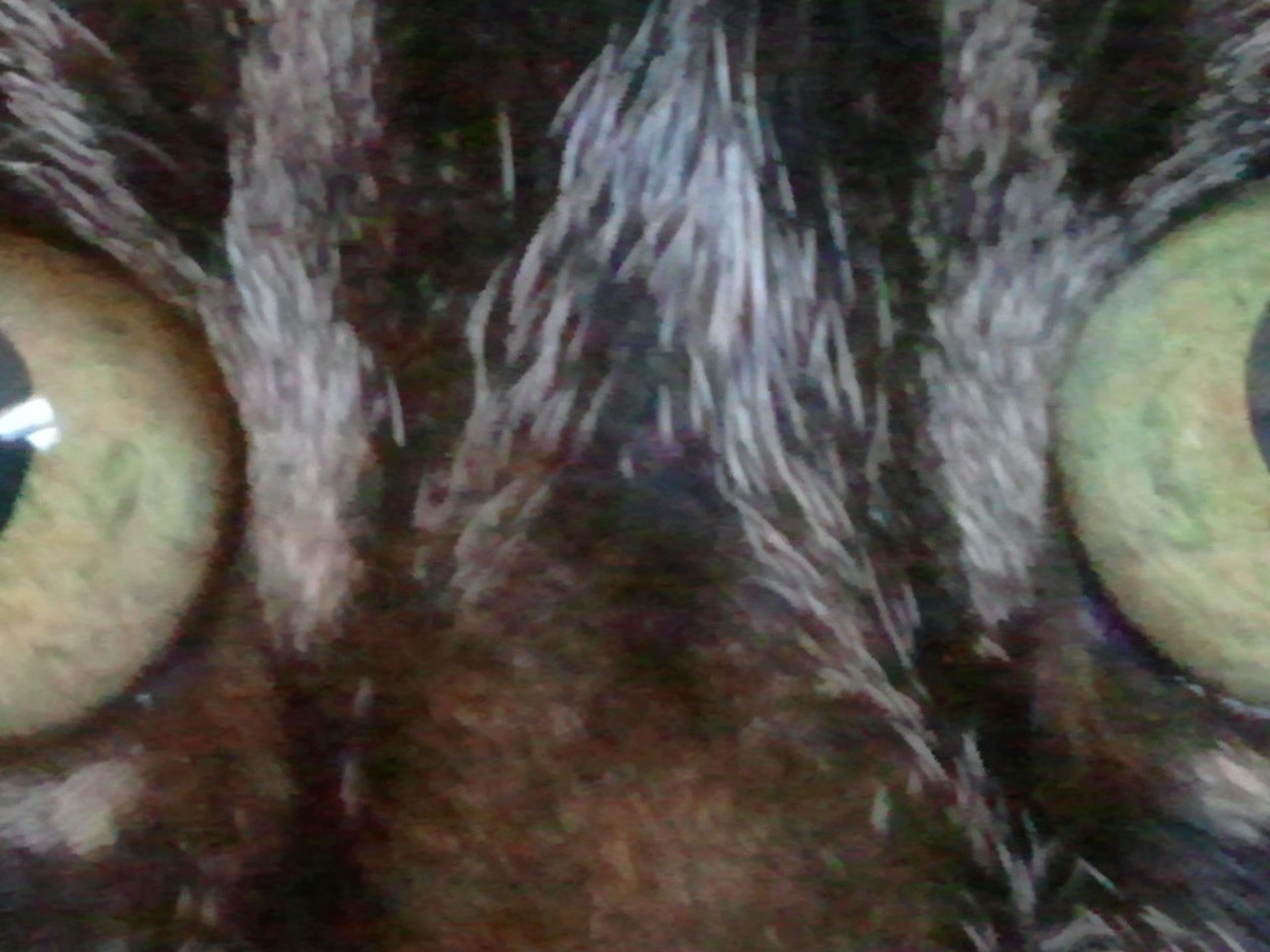 jraps1950's profile banner image