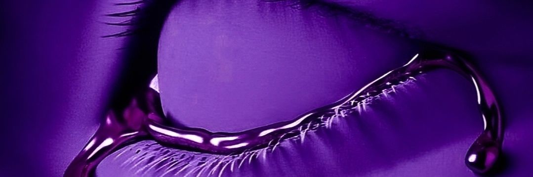 zxmudio's profile banner image