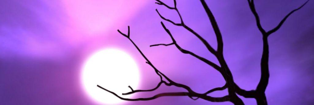 adamwalker00's profile banner image
