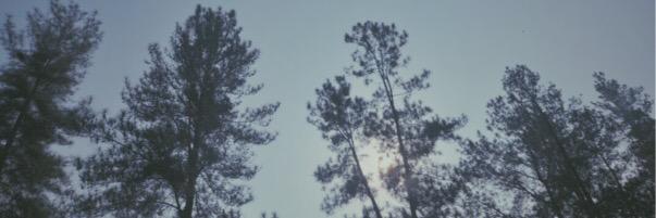 billachintani's profile banner image