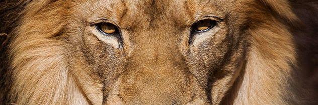 ROB_tweeted's profile banner image