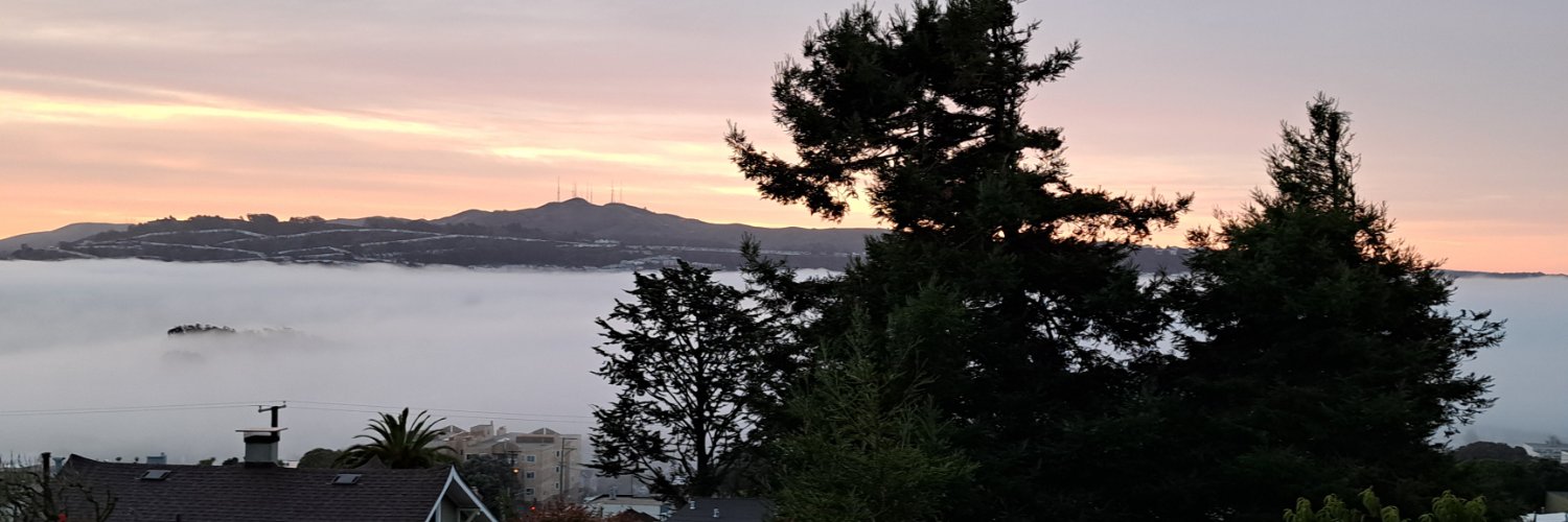 Stephen Martin-Pinto banner