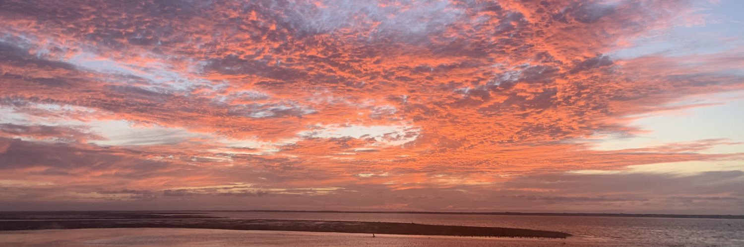 DanyCarpio banner