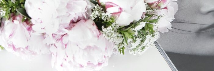 CatherineSdl's profile banner image