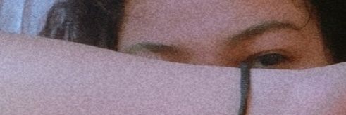 Dani banner