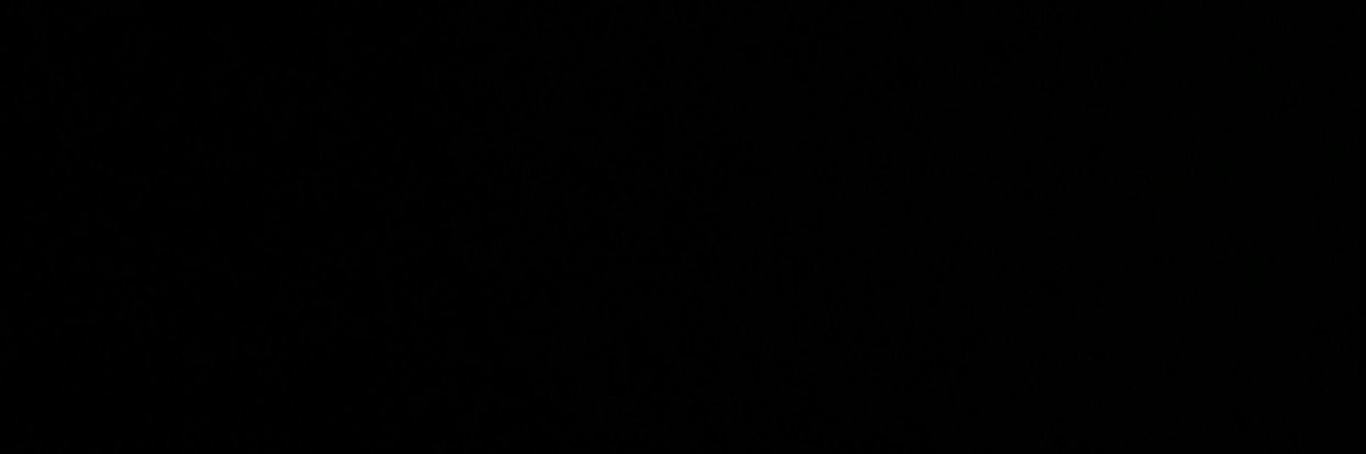 paynetep19's profile banner image