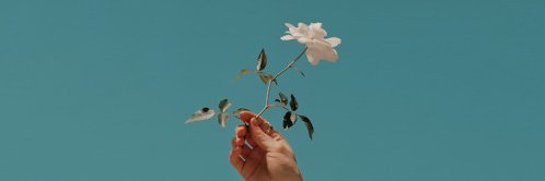 페어봇 연결봇 banner