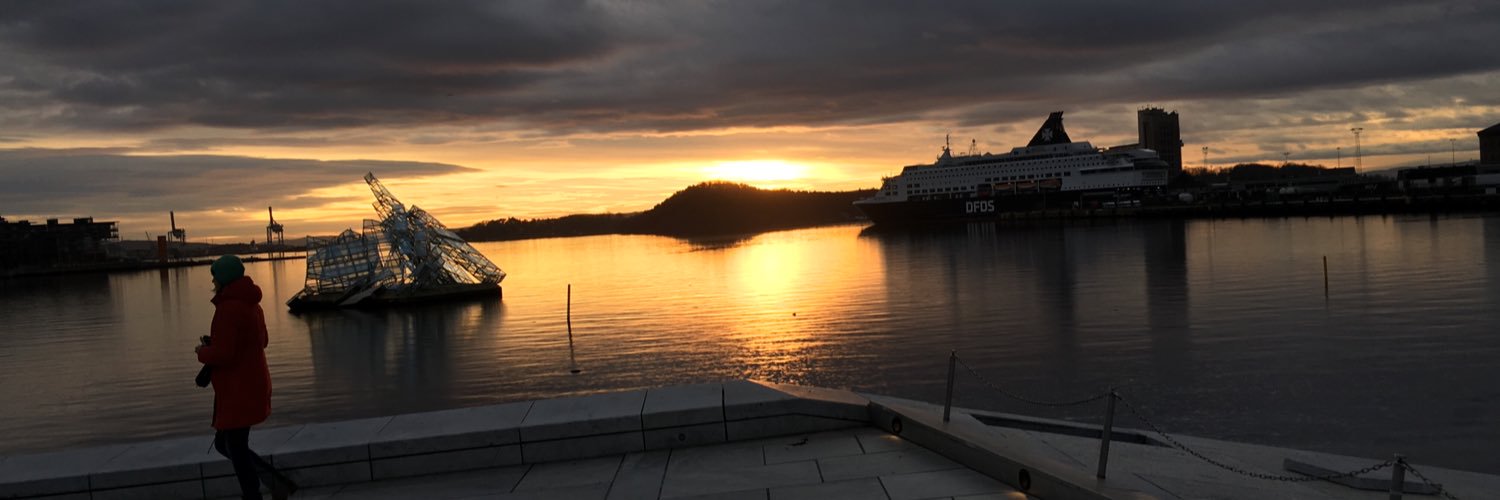 Janne Jõesaar-Ruusalu 🇪🇪 banner