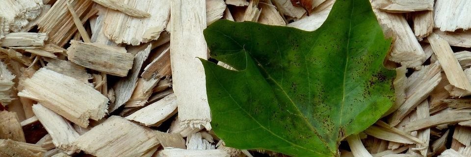 Réseau Compost Citoyen banner