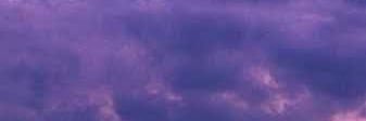 🍅 banner