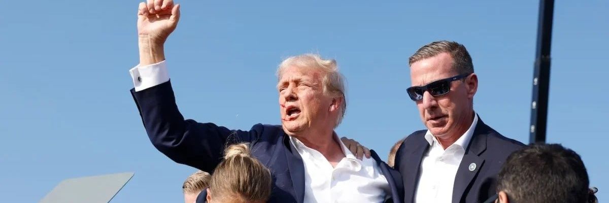 Boneless Fries 🇺🇸 🤘 🧠 banner