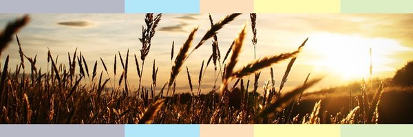 foscera Profile Banner