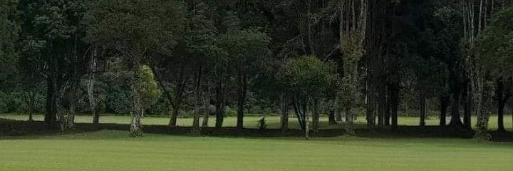 Manarratt's profile banner image