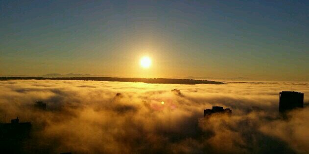 ⏩Edith⏩ banner