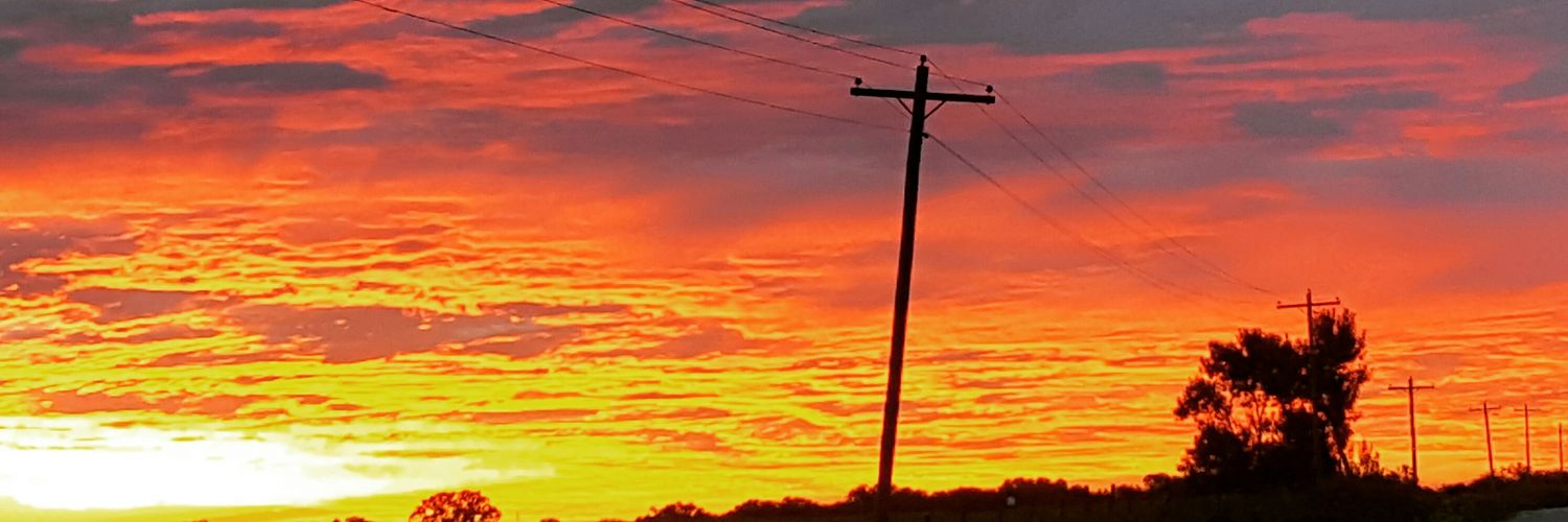 fiercat59's profile banner image