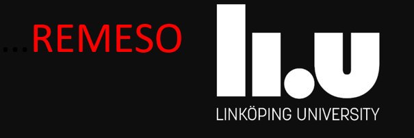 liu_REMESO: Migration, Ethnicity and Society banner