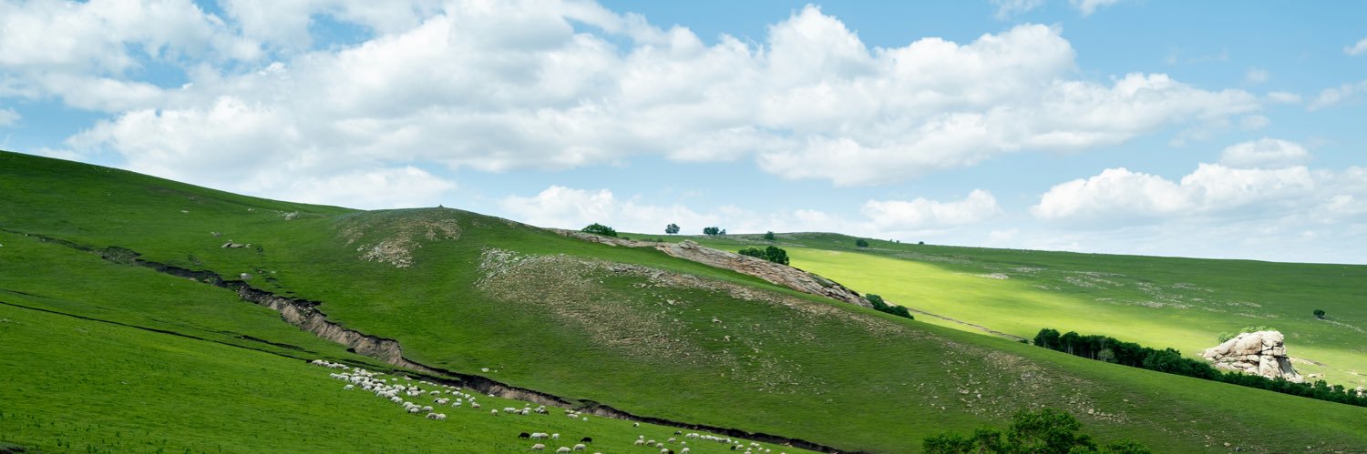 ℒ𝒾𝓉𝓉𝓁𝑒𝒸𝓊𝒷 banner