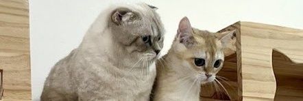 อุนย่าพี่ซาร์น้องเต้🥰 banner