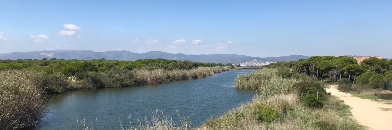 Marta Cambronero banner