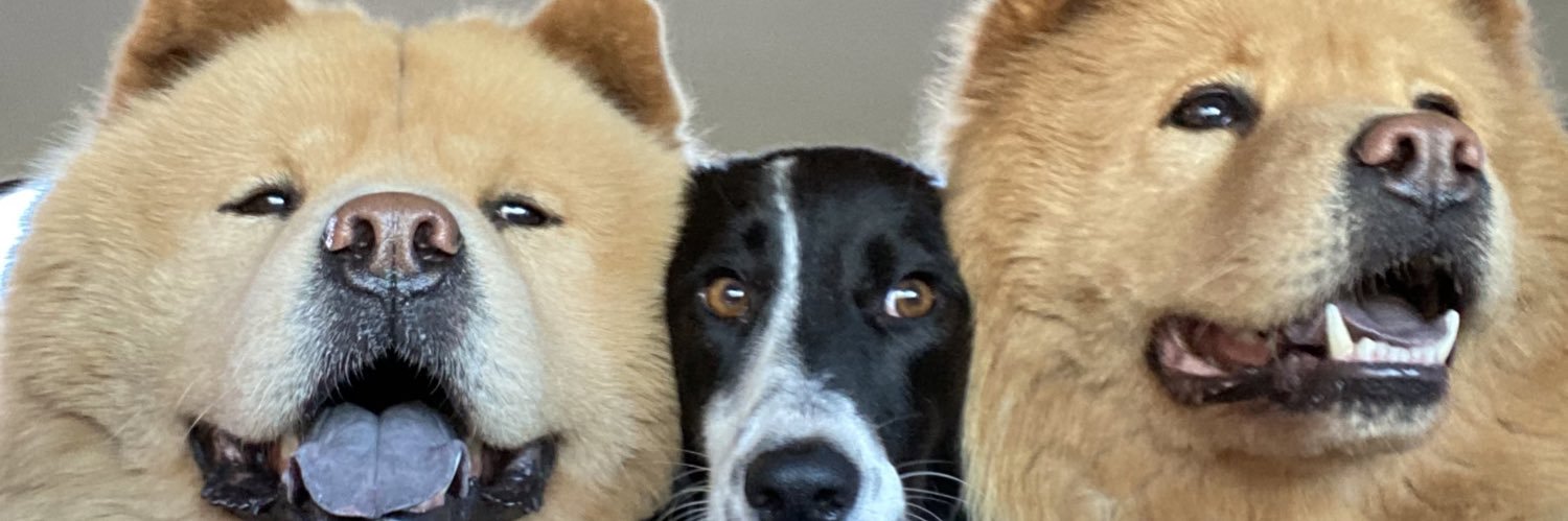 florgargiulo's profile banner image