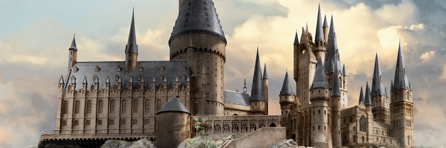 wingardium leviOsa banner