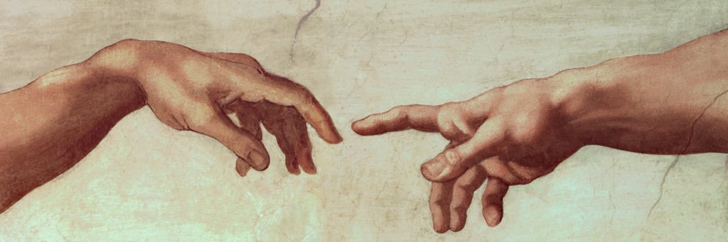 whitehead_24's profile banner image