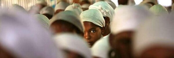 freyalamillo Profile Banner