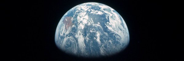 Teelix1 Profile Banner