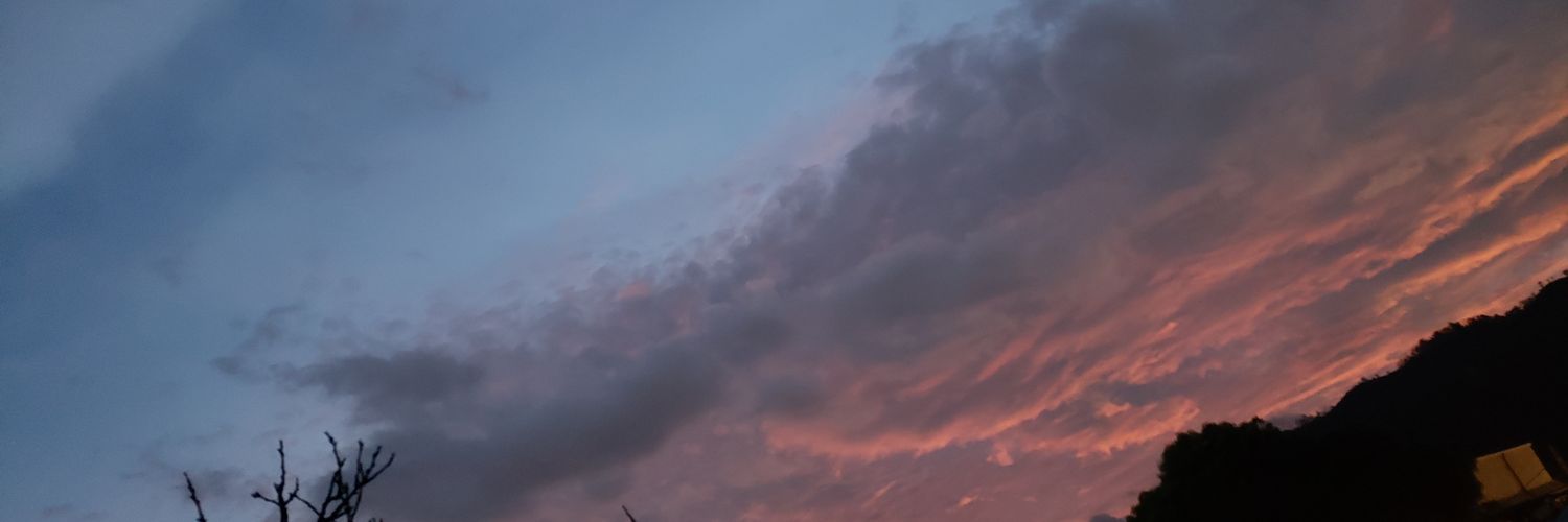 Roman Sanchez banner