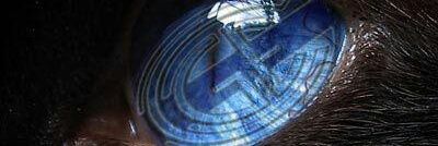 TomyGrecco's profile banner image