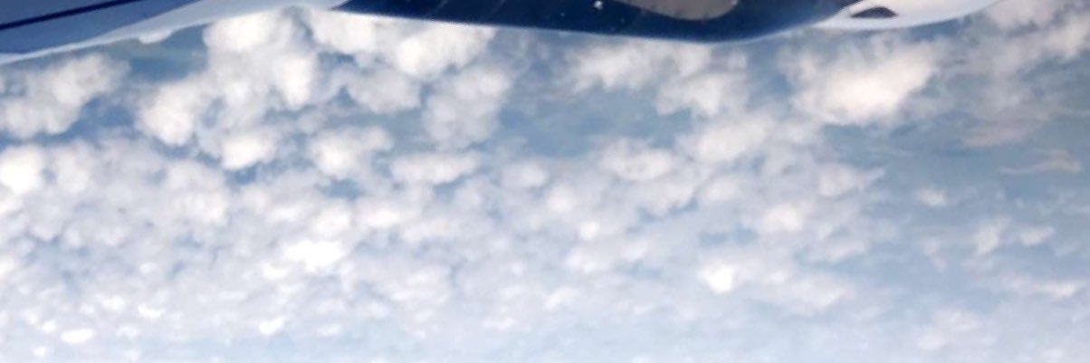 L0LA_AL0L's profile banner image