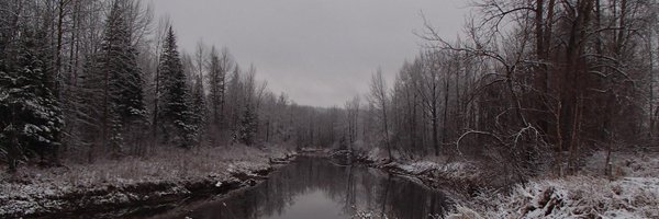 abLSWC Profile Banner