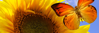 mayizcf's profile banner image