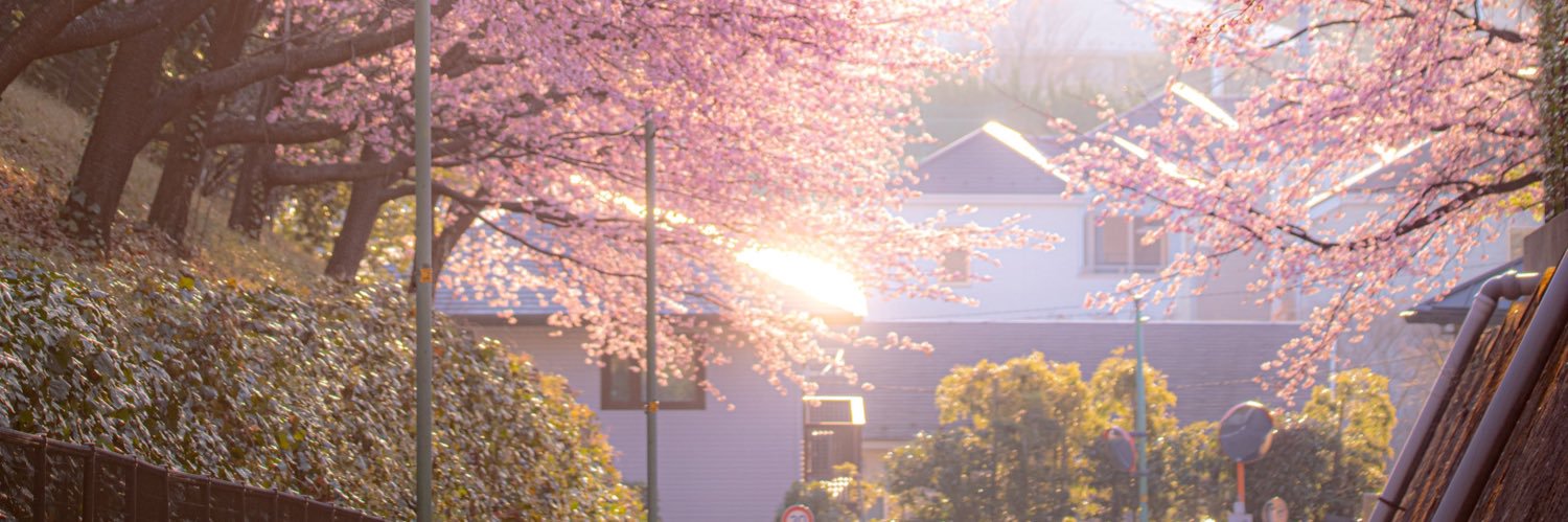 Acse_r6's profile banner image