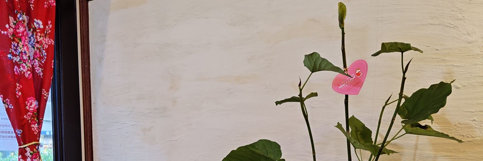 shouri_S's profile banner image