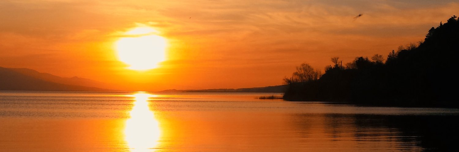 sltnkrtss's profile banner image